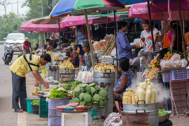 เครื่องปรุง ส่วนประกอบอาหารอีสาน วัตถุดิบ 